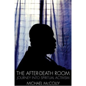 AFTER-DEATH ROOM, THE: Journey into Spiritual Activism (Soft Skull Press)