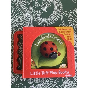Ladybird's Lesson (Little Tuff Flap Books)