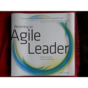 Becoming an Agile Leader, a Guide to Learning From Your Experiences