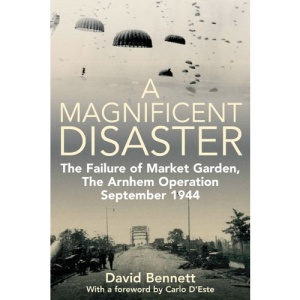 A Magnificent Disaster
