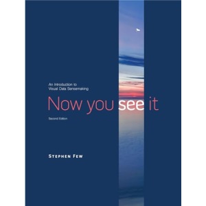 Now You See It: An Introduction to Visual Data Sensemaking