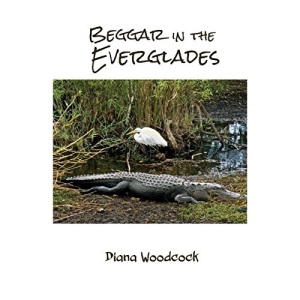 Beggar in the Everglades