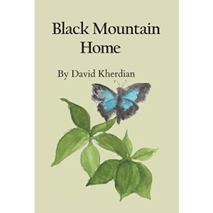 Black Mountain Home