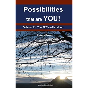Possibilities that are YOU!: Volume 13: The ERCs of Intuition