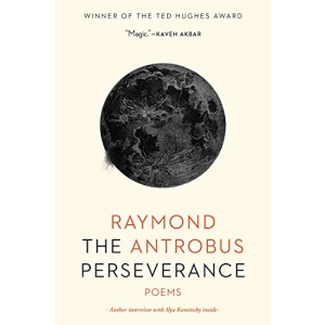 The Perseverance