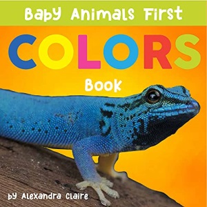 Baby Animals First Colors Book