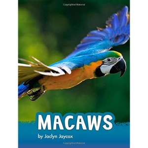 Macaws (Animals)
