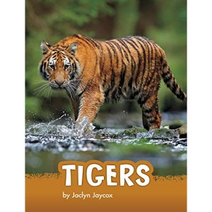Tigers (Animals)