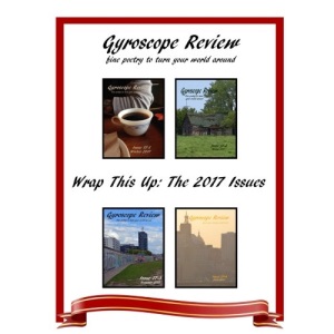 Gyroscope Review Wrap This Up: The 2017 Issues