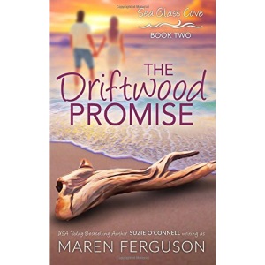 The Driftwood Promise: Volume 2 (Sea Glass Cove)