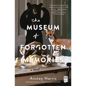The Museum of Forgotten Memories