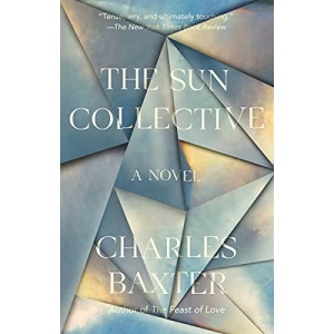 The Sun Collective (Vintage Contemporaries)