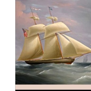 A Voyage to the South Sea