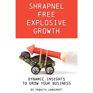 Shrapnel Free Explosive Growth: Dynamic Insights to Grow Your Business