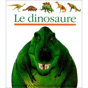 Le Dinsoaure (Mes Premieres Decouvertes)