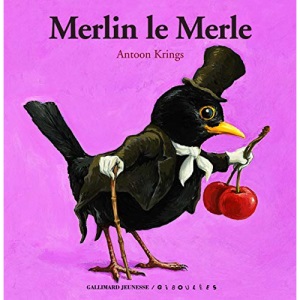 Merlin le merle