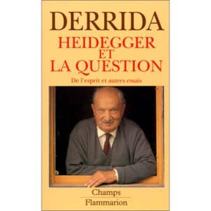 Heidegger et la question