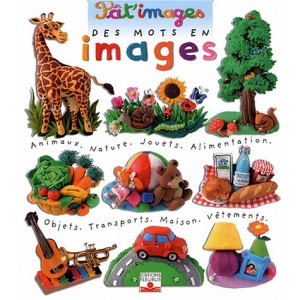 MOTS EN IMAGES (DES)