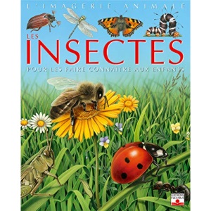 Les insectes