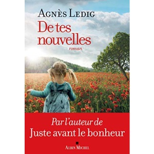 De tes nouvelles: roman