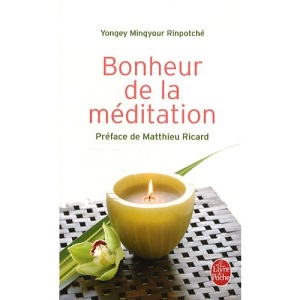 Bonheur de la Meditation (Le Livre de Poche)