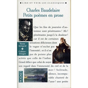 Petits poèmes en prose : Le spleen de Paris