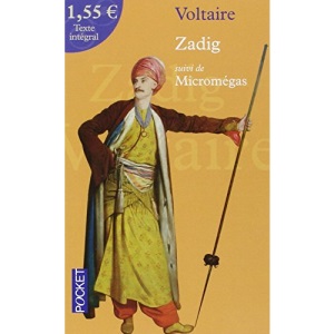 Zadig : Suivi de Micromégas