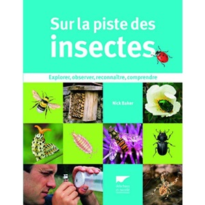 Sur la piste des insectes : Explorer, observer, reconnaître, comprendre