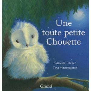 Une toute petite chouette