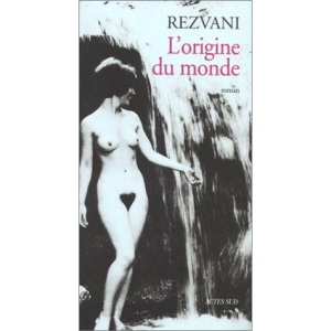 L'origine du monde: Pour une ultime histoire de l'art à propos du cas Bergamme : roman (Domaine français)