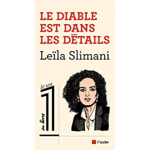 Le Diable est dans les details: Roman