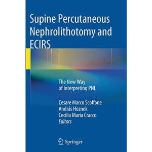 Supine Percutaneous Nephrolithotomy and ECIRS: The New Way of Interpreting PNL