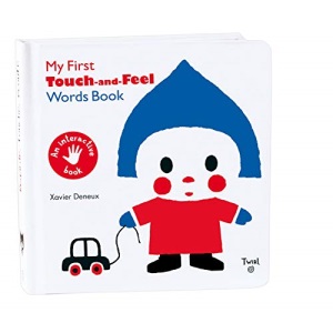 My First Touch and Feel Words Book: 1