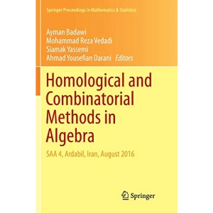 Homological and Combinatorial Methods in Algebra: SAA 4, Ardabil, Iran, August 2016: 228 (Springer Proceedings in Mathematics & Statistics)