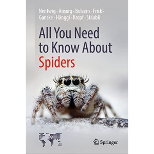 All You Need to Know About Spiders