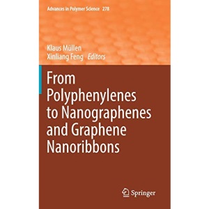 From Polyphenylenes to Nanographenes and Graphene Nanoribbons: 278 (Advances in Polymer Science)