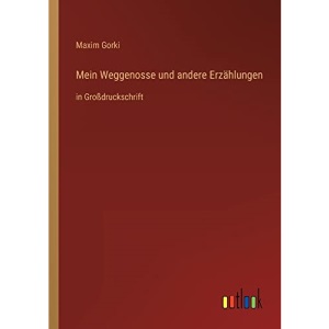 Mein Weggenosse und andere Erzählungen: in Großdruckschrift