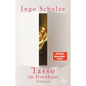 Tasso im Irrenhaus: Erzählungen