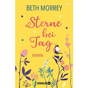 Sterne bei Tag: Roman