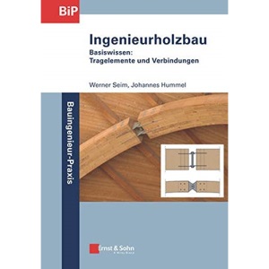 Ingenieurholzbau – Basiswissen: Tragelemente und Verbindungen (Bauingenieur-Praxis)