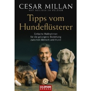 Tipps vom Hundeflüsterer: Einfache Maßnahmen für die gelungene Beziehung zwischen Mensch und Hund