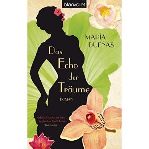 Das Echo der Träume: Roman
