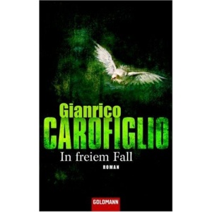 In freiem Fall: Roman