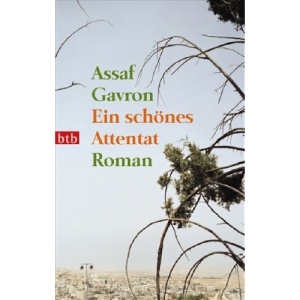 Ein schönes Attentat: Roman