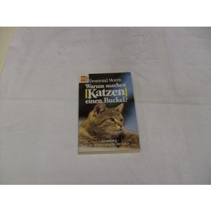 Warum machen Katzen einen Buckel?