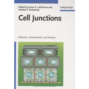 Cell Junctions: Adhesion, Development, and Disease