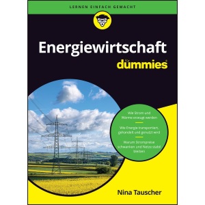 Energiewirtschaft für Dummies