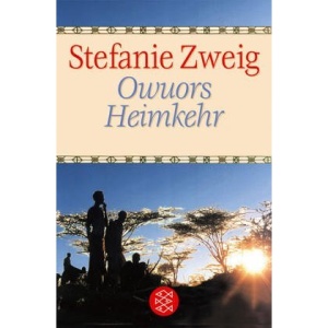 Owuors Heimkehr: Erzählungen aus Afrika