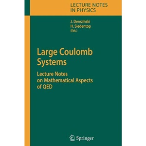 Large Coulomb Systems: Lecture Notes on Mathematical Aspects of QED: 695 (Lecture Notes in Physics)