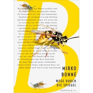 Wege durch die Spiegel: Gedichte